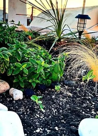 Finikas Cave House Apartament