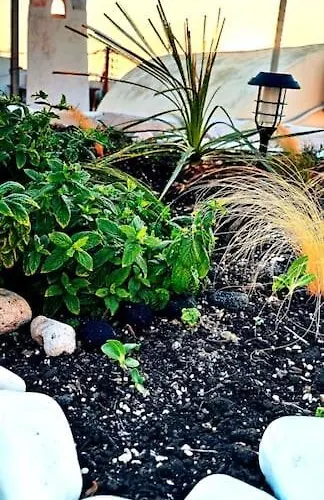 Finikas Cave House Lejlighed