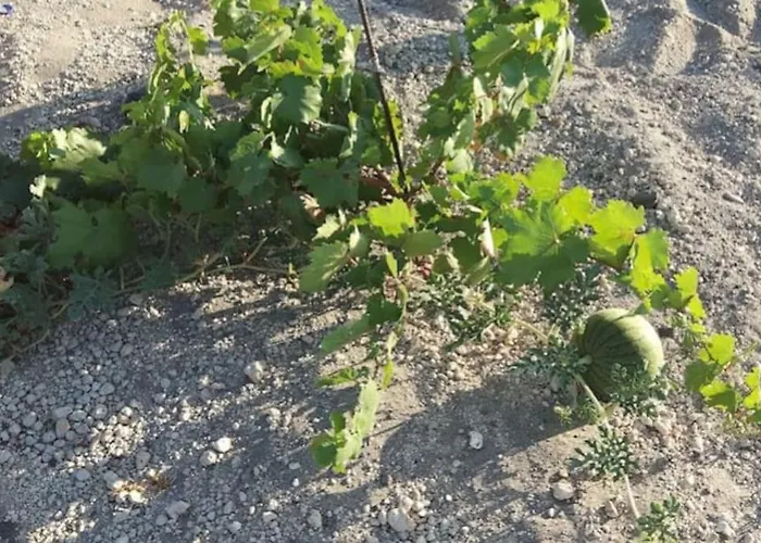 Finikas Cave House Appartement *